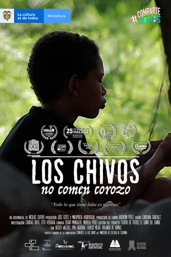 Los chivos no comen corozo poster