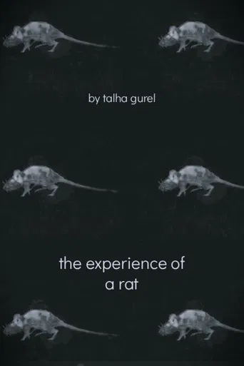 The Experience of a Rat poster
