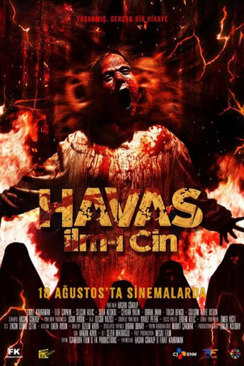 Havas İlm-i Cin poster