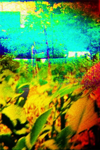 The Colors of Boulder in the Summer poster