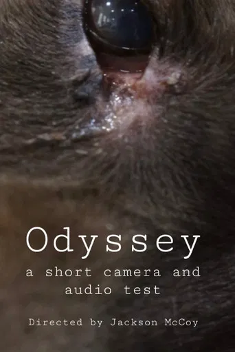 Odyssey - a camera and audio test poster