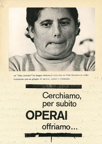 Cerchiamo per subito operai, offriamo... poster