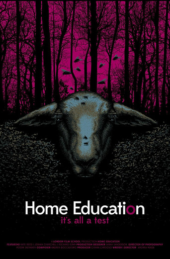 Home Education poster