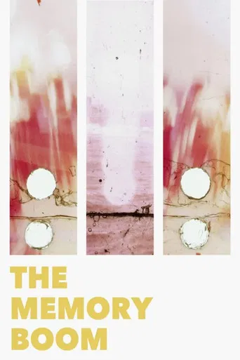 The Memory Boom poster
