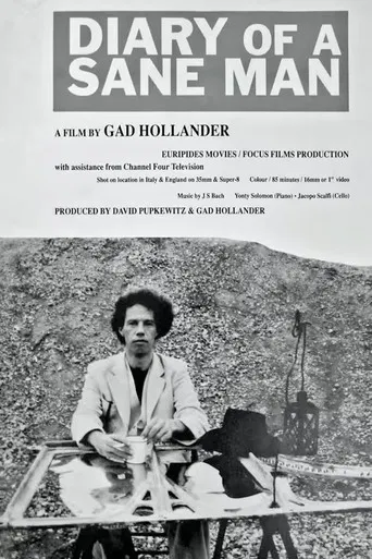 Diary of a Sane Man poster