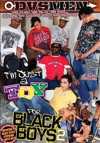 I'm Just A Toy For Black Boys 2 poster
