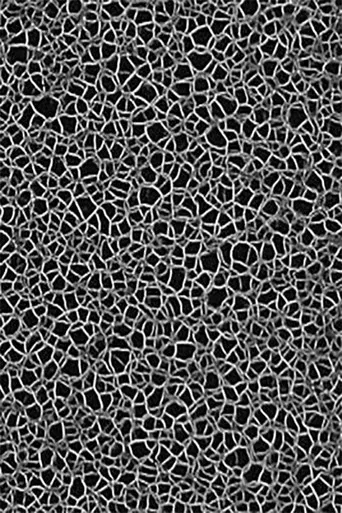 Masses Turbulentes poster