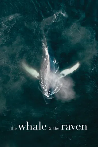 The Whale and the Raven poster