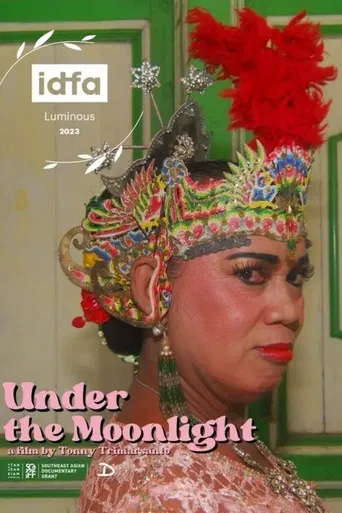 Under The Moonlight poster