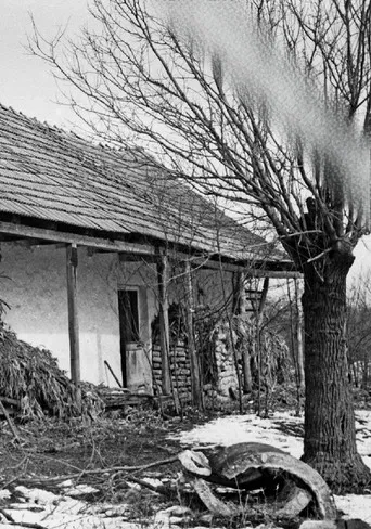 Music of the Night by Béla Bartók poster