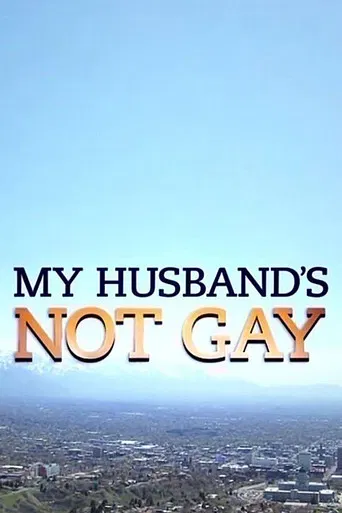 My Husband's Not Gay poster