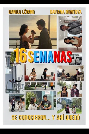 16 semanas poster