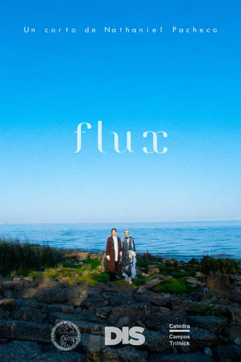 Flux poster