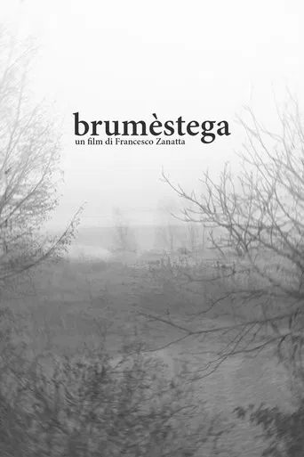 brumèstega poster