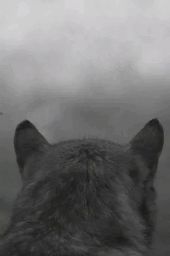 From the Mountain poster