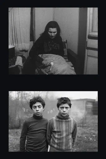 Zigeuner in Duisburg poster