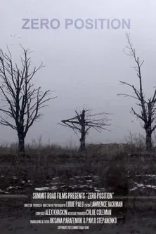 Zero Position poster