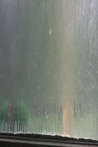 Fogged Windows poster