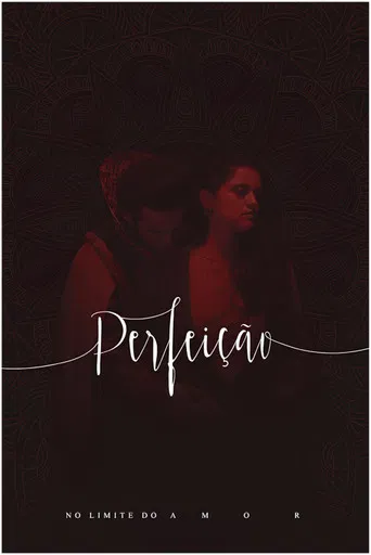 Perfeição, No Limite do Amor no Theatro Via Sul poster