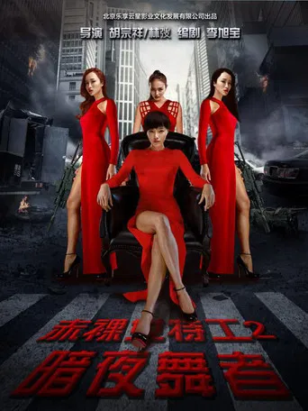 Naked Weapon 2 poster