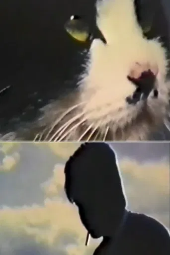 Do you still like her? poster