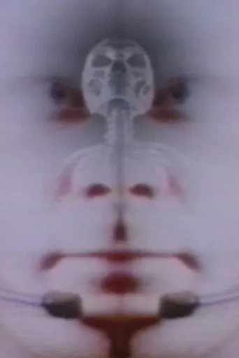 Twice the Universe poster