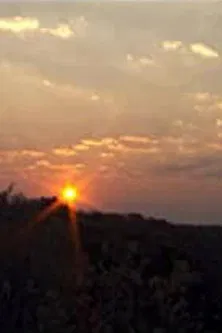 The Third Way to Reach Remote Tribes poster