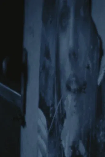 Bachelor Apartment poster