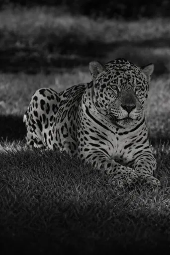 Jardim Zoológico do Rio de Janeiro poster