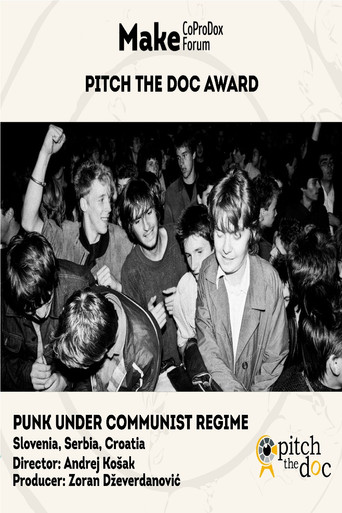 Punk Under Communist Regime poster