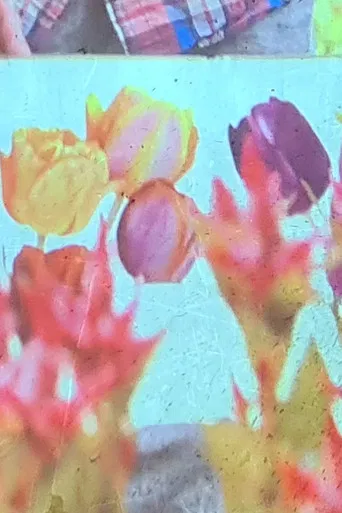 jolies fleurs une vie meilleure poster