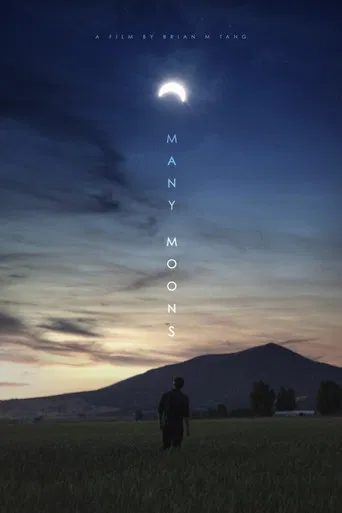 Many Moons poster