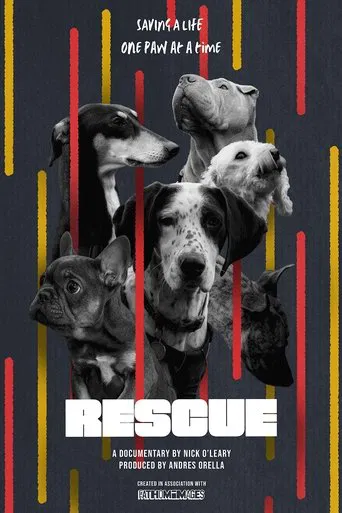 RESCUE poster