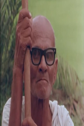 An Indian Story poster