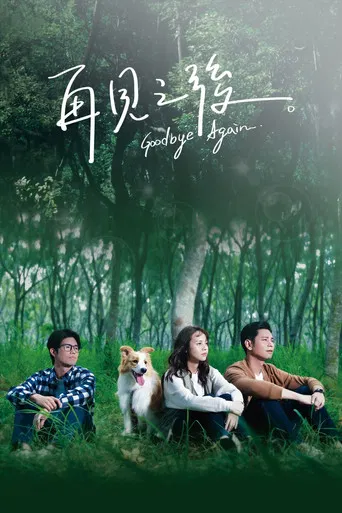 Goodbye Again poster