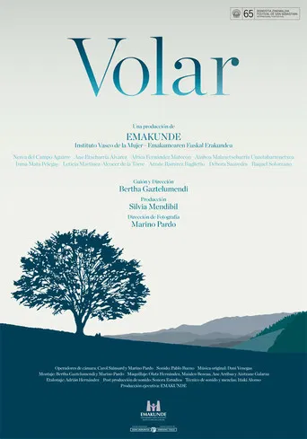 Volar poster