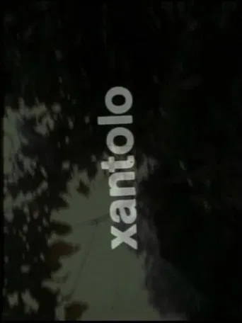 Xantolo, fiesta de la muerte poster