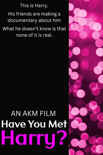 Have You Met Harry? poster