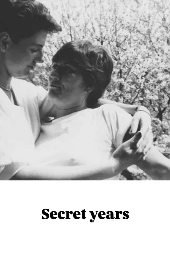 Secret Years poster