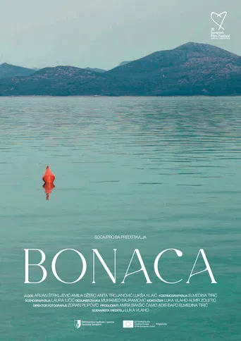 Bonaca poster