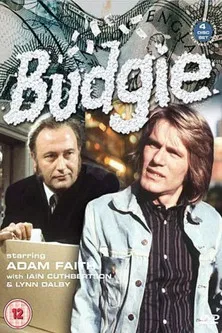 Budgie poster