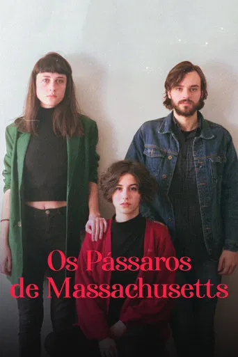 Os Pássaros de Massachusetts poster