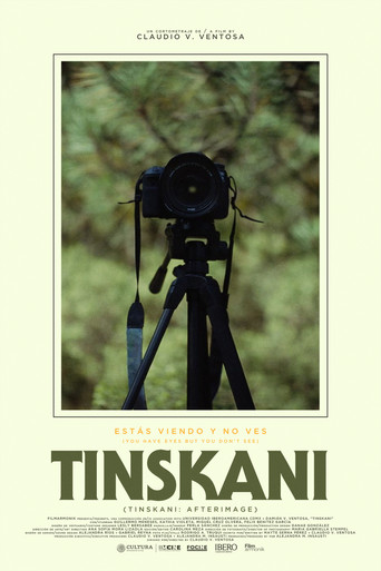 Tinskani: Afterimage poster