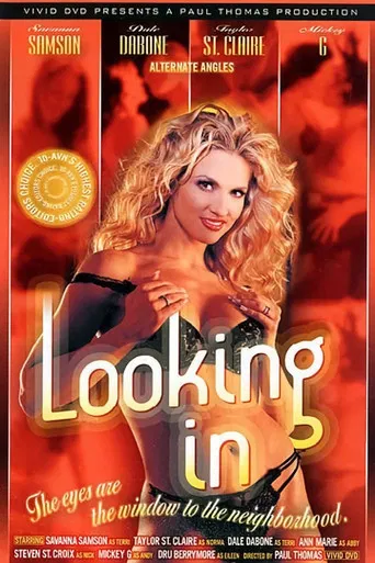 Looking In poster