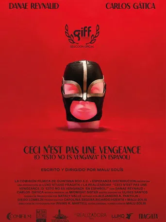 This Is Not Revenge poster