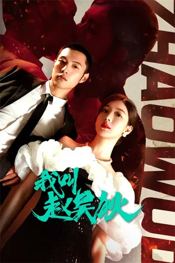 My Name is Zhao Wudi poster