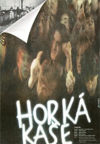 Horká kaše poster