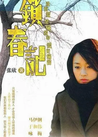 锁春记 poster