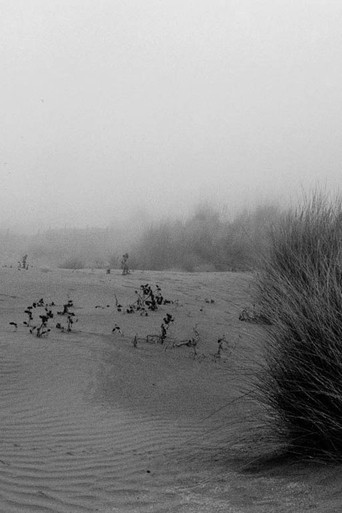 Sea Concrete Human — Malfunctions #1 poster