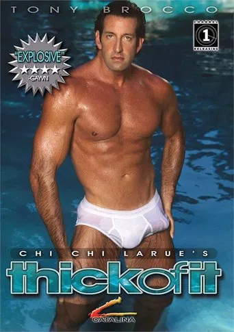 The Thick of It poster